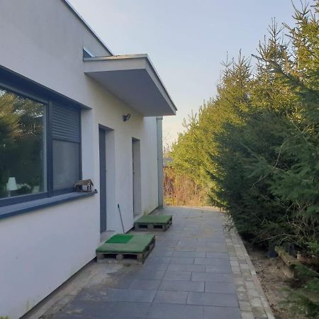 Maly Apartament W Zieleni Blisko Jeziora Środa Wielkopolska Exteriér fotografie
